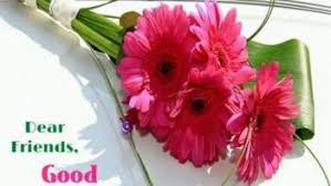 Good morning images with flowers. Free Download Latest Awesome Good Morning Flowers Pictures In 2021 Good Morning Flowers Pictures Good Morning Flowers Good Morning Beautiful Flowers