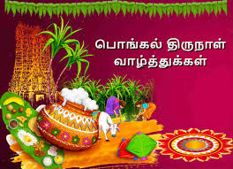 Maattu pongal wishes in tamil. Happy Pongal Wishes Messages Quotes Images Greetings 2021