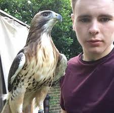 Claws, Wings and Other Things