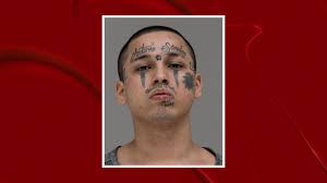 Man Who Killed, Raped Cousin Guilty in Unrelated Murder