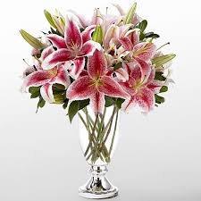We did not find results for: Best Romantic Flowers For Him Her Fragrance To Bloom Your Love