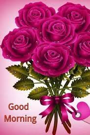 good morning photo के लिए इमेज परिणाम