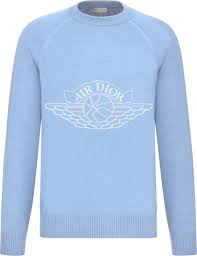 Chunky turtleneck sweaters for women long sleeve knit pullover sweater jumper tops. Dior X Jordan Light Blue Air Dior Sweater Incorporated Style