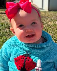 Ladybug Landing in Lakemont GA