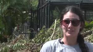 2 local wildlife sanctuary nonprofits sustain severe damage from major  tornados