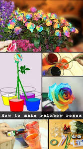 How To Make Rainbow Roses Naturalgardenideas Com Naturalgardenideascom Rainbow Roses In 2020 Rainbow Roses Rainbow Flowers Natural Garden