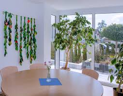 Aufgrund der aktuellen lage kann es bei den öffnungszeiten ihrer bank zu einschränkungen und abweichungen zu den hier gezeigten zeiten kommen. Sozialpsychiatrisches Zentrum Illertissen Diakonie Neu Ulm