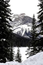 Check spelling or type a new query. Great Experiences To Give As Gifts Avenue Calgary