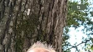 Photo Saint-Jory. Jean-Franois Mauries nous a quitts - ladepeche.fr