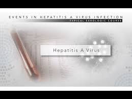 Hepatitis A Cdc Viral Hepatitis Serology Training