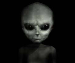 MOONSHINE — WHITING PICTURES