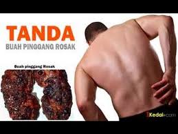 Check 'buah nona' translations into english. Ubat Rosak In English Berubat F