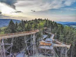 Jest to pierwsza w polsce wieża widokowa w koronach drzew o unikalnej konstrukcji drewnianej. Krynica Wieza Widokowa W Koronie Drzew Opinie Ceny Godziny