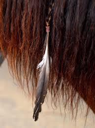In fact, if you are new to braiding, you may want to try this style first. Pin By Samantha Wells On Horse Tack Grooming Horse Braiding Horse Mane Horse Grooming