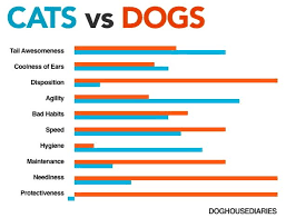 Cats Vs Dogs Chart Cat Vs Dog Dog Chart Cats