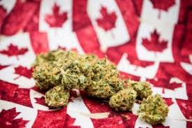 Stock prices may also move more quickly in this environment. Rumors Swirl Around Medreleaf Corp Otcmkts Medff And Aurora Cannabis Inc Otcmkts Acbff Oracle Dispatch