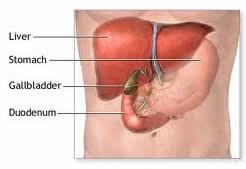 Causes of gallbladder pain include intermittent blockage of ducts by gallstones or gallstone inflammation and/or sludge that also may involve irritation. Gallstone Surgery India Low Cost Gallstone Surgery India Gallstone Surgery Benefits India
