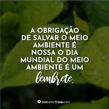 Haverá de voltar ao teu planeta. A Obrigacao De Salvar O Meio Ambiente E Nossa E O Dia Mundial Do Meio Ambiente E Um Lembrete Com Amor Frases