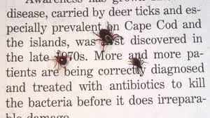 Lyme Disease Cbs Los Angeles