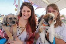 Gone to the Dogs Annual Craft Fair & Family Festival
