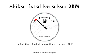 Hasil gambar untuk kartun bergerak lucu dan imut