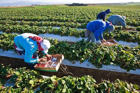 Farmworker Appreciation Day