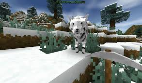 Awesome White Tiger I Love Survivalcraft I Just Found A White Tiger Today But It Was Not This One Tho Cool Minecraft Awesome Survival