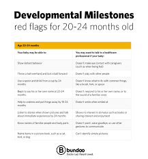 Developmental Milestones Red Flags For 20 24 Months Old Developmental Milestones 20 Month Old Milestones Speech Therapy Activities Preschool