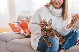 8 Adorable Reasons Why Cats Love Sitting on Laps - Cats.com