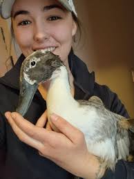 Does anyone recognize this sweet girl found by Bridgeport Dam?