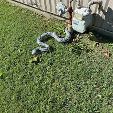 Brantley pest control is proud to be family owned and operated, serving you in kansas city, missouri and the surrounding areas. 25 Best Pest Control Service Near Chalmette Louisiana Facebook Last Updated Nov 2020