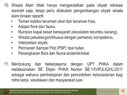 Hutan mangrove di pemalang ini memiliki luas 2350 h dengan pembagian 410 h hamparan bakau dan 1940 h pertambakan. Proposal Pengelolaan Hutan Sebagai Tempat Wisata Atdrivesix