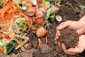 Free shipping on qualified orders. 10 Homemade Remedies For Your Vegetable Garden Slow Food International