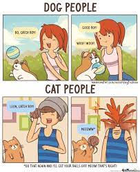 How To Be A Cat Person While Actually Hating Cats Funny Animals Funny Pictures Dog People