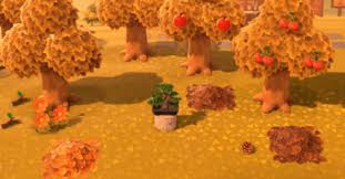 How To Get Mushrooms And How To Use Them Animal Crossing New Horizons Switch Game8