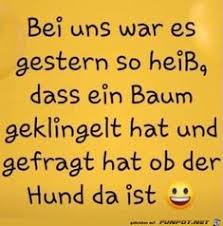 Lustige bilder gb bilder für jappy, für die facebook pinnwand, lustige bilder gifs und fun pics für whatsapp, spin gästebuch bilder, webseiten u.a. 900 Lustiges Ideen In 2021 Lustige Spruche Witzige Spruche Spruche