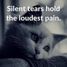 Pin On Quotes