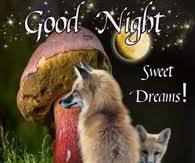 Let the light of the moon guide your dreams as you pass the night away. Good Night Blessings Pictures Photos Images And Pics For Facebook Tumblr Pinterest And Twitter