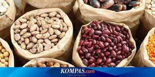 Pertumbuhan polong terjadi ketika bunga sudah terfertilisasi dan ginofor membawa buah kedalam tanah dan berkembang. 7 Jenis Kacang Yang Sehat Untuk Dimakan Halaman All Kompas Com