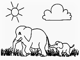 Gajah termasuk dari famili elephantidae dan satu satunya family dalam ordo proboscidea. Contoh Gambar Sketsa Mewarnai Gajah Kataucap