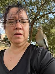 Carrier pigeon at Dawes. Photo taken by me. Check out the metal bands