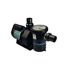 Kami dunia pompa menjual berbagai macam tipe filter dan pompa merk emaux. Agen Penjualan Pompa Grundfos Pompa Kolam Renang 1 Hp Emaux Sb10