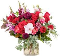 Check spelling or type a new query. Mothers Day The Lush Lily Flowers The Lush Lily Brisbane Florist Flower Delivery Carindale Loganholme Brisbane Buy Flowers Online