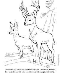 These free, printable halloween coloring pages for kids—plus some online coloring resources—are great for the home and classroom. Free Deer Coloring Pages Coloring Home