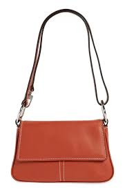 Image result for Staudtia