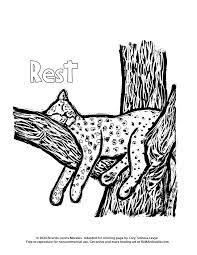 African animals printable book for early readers a short, printable book about african animal early readers. Coloring Pages Pandemic Animals Free Pdf Downloads Poster Art For Social Justice Ricardo Levins Morales