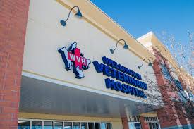 California veterinary specialists provides pets and family members specialized comprehensive services such as oncology, surgery, and 24/7 critical care. Wellington Veterinarian Hospital Dr Cliff Worldwide Vet