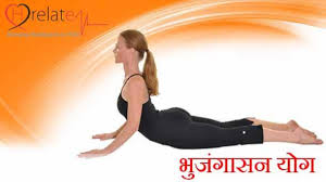 Bhujangasana In Hindi Ridh Ki Haddi Ko Lachila Banaye