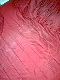 cum stained sheets : r/cumstained