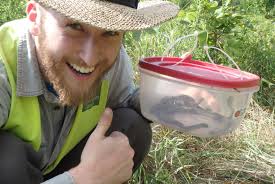 The Canadian Herpetologist